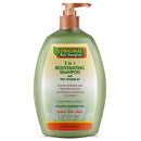 Organic Hair Energizer 5 In 1 Shampoo 13 oz (CS/6)
