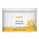 GI-GI WAX 8oz FACIAL HONEE