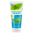 QUEEN HELENE FACIAL SCRUB 6oz MINT JULEP (CS/6)