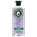 HERBAL ESSENCES JOJOBA & LAVENDER CURLS SHAMPOO 13.5oz (CS/6)