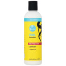 CURLS BLUEBERRY BLISS DEFINE N SHINE SMOOTHIE 8oz (CS/6)