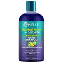 MIELLE KALAHARI MELON & ALOE PURPLE SHAMPOO 12oz (CS/6) *