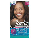 JUST 5 HAIR COLOR J10 RICH AUBURN
