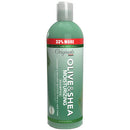 AFRICA'S BEST OLIVE OIL SHAMPOO 12oz (BONUS)