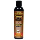 Jamaican Mango & Lime Black Castor Oil Shampoo 8 oz (CS/6