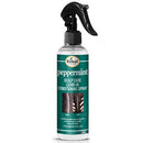 DIFEEL PEPPERMINT SCALP CARE LEAVE-IN SPRAY 6 OZ