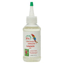 B's Organic Ginger Oil 4 oz