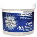 World Of Curls Gel Activator 32 oz Regular (CS/6)