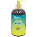 MIELLE AVOCADO & TAMANU ANTI-FRIZZ SHAMPOO 12oz (cs/6)